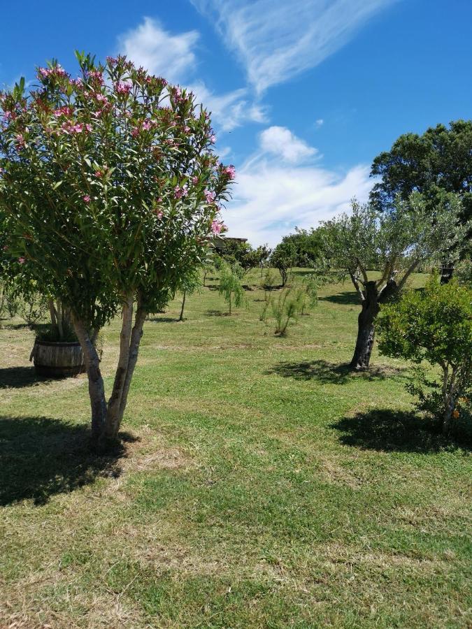 Home Garden シニスコーラ エクステリア 写真