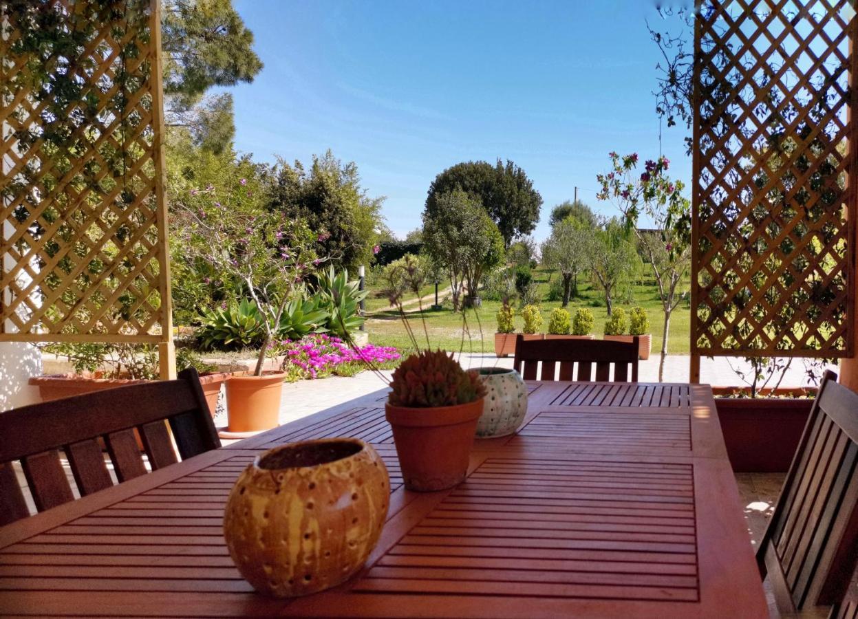 Home Garden シニスコーラ エクステリア 写真