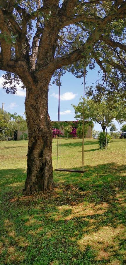 Home Garden シニスコーラ エクステリア 写真