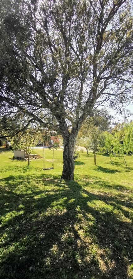 Home Garden シニスコーラ エクステリア 写真